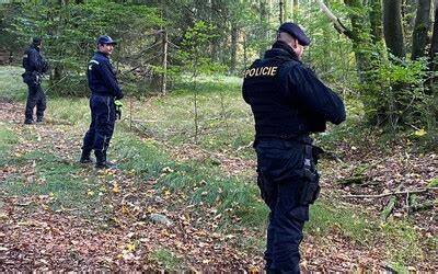 Policejní pátrání v pražském lese